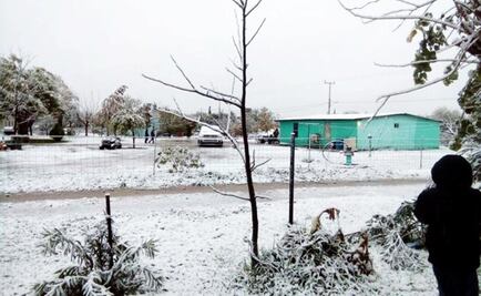 Prevén temperaturas bajo cero en 11 estados del país