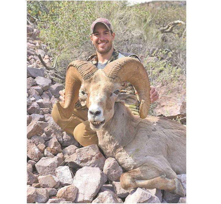 Prisión. De haber cazado al espécimen en Baja California, el castigo para el responsable es prisión. Foto: TOMADA DE REDES SOCIALES