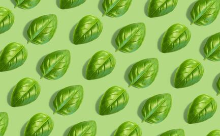 Estos son los alimentos que debes evitar para cuidar tu páncreas