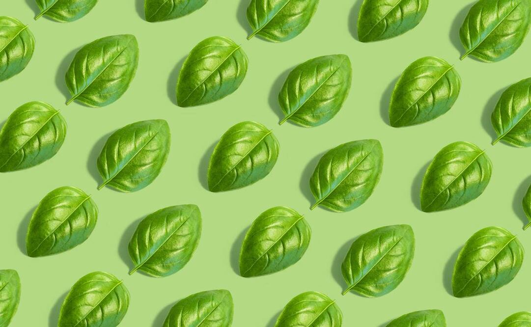 Foto: Jeremy Bezanger / Unspash