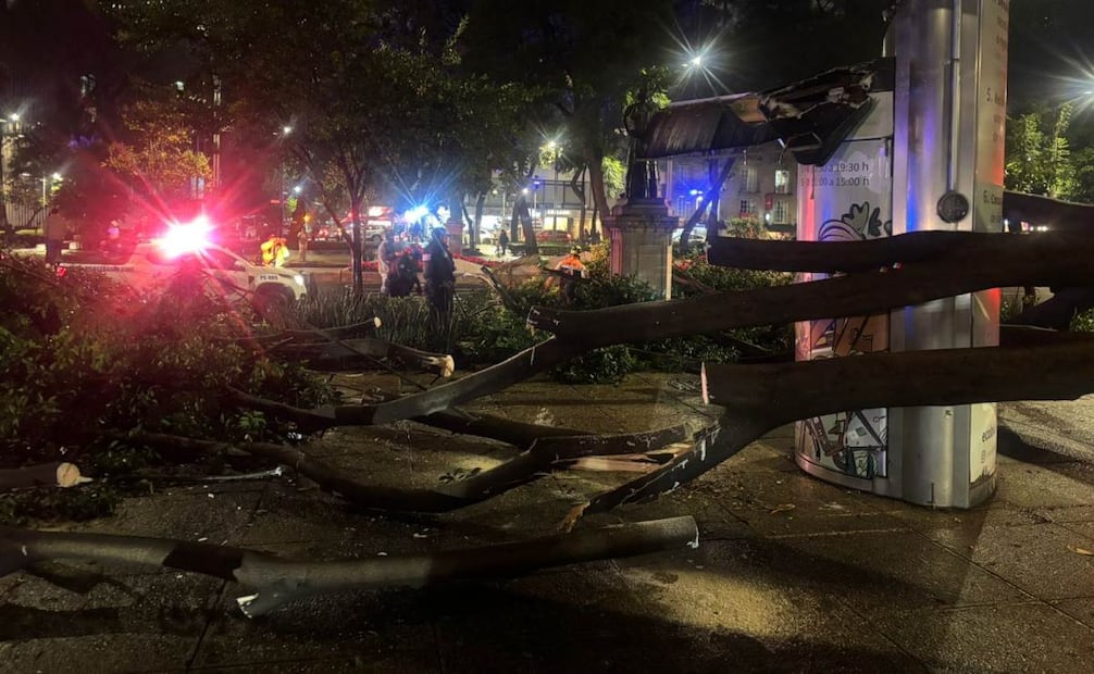 Árbol cae en Paseo de la Reforma, daña estructura metálica; hay interrupción de servicio de Línea 7 del Metrobús.
Foto: Juan Carlos Williams