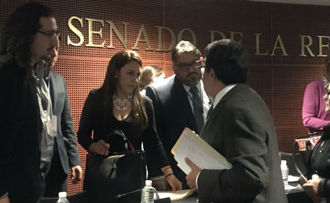 En la propuesta se describe que las comisiones podrán ser transitorias o permanentes y serán presididas por quien determine el Presidente de la República. FOTO: @Rocio_BarreraB