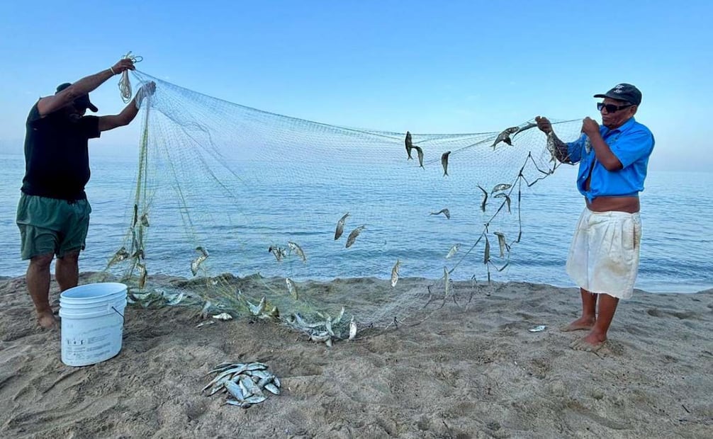 Pescadores retoman labores en Puerto Vallarta, Jalisco, tras una semana de violencia por el abatimiento de "El Mencho" (01/03/26). Foto: Juan Carlos Williams/ EL UNIVERSAL