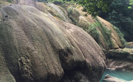 Inician labores de reforestación en Cascadas de Agua Azul