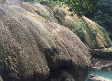 Inician labores de reforestación en Cascadas de Agua Azul