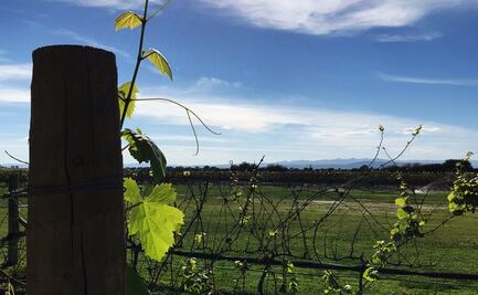 Por los caminos de Guanajuato I