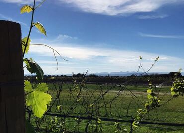 Por los caminos de Guanajuato I