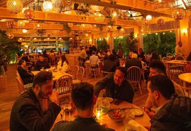 Conoce Palapa, un oasis citadino con comida caribeña