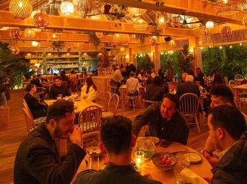 Conoce Palapa, un oasis citadino con comida caribeña