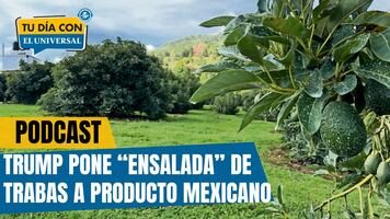 "Ensalada" de trabas de EU hacia productos mexicanos | TU DÍA CON EL UNIVERSAL 🗞️