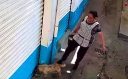 Suspenden local de mujer que golpeó a perro en Ecatepec