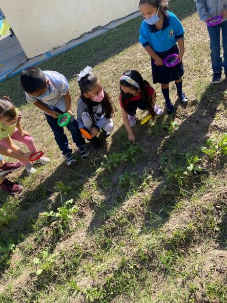 El agua es controlada y comercializada por empresas transnacionales