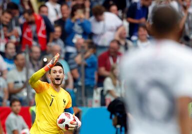 Portero de Francia Hugo Lloris casi se traga una libélula