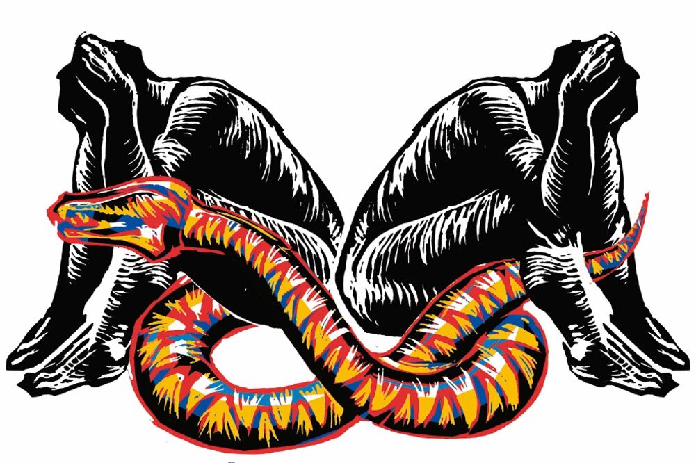 ¿Unidad para qué o en torno a qué?