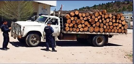 Guardia Nacional detiene a sólo tres en acciones contra la tala