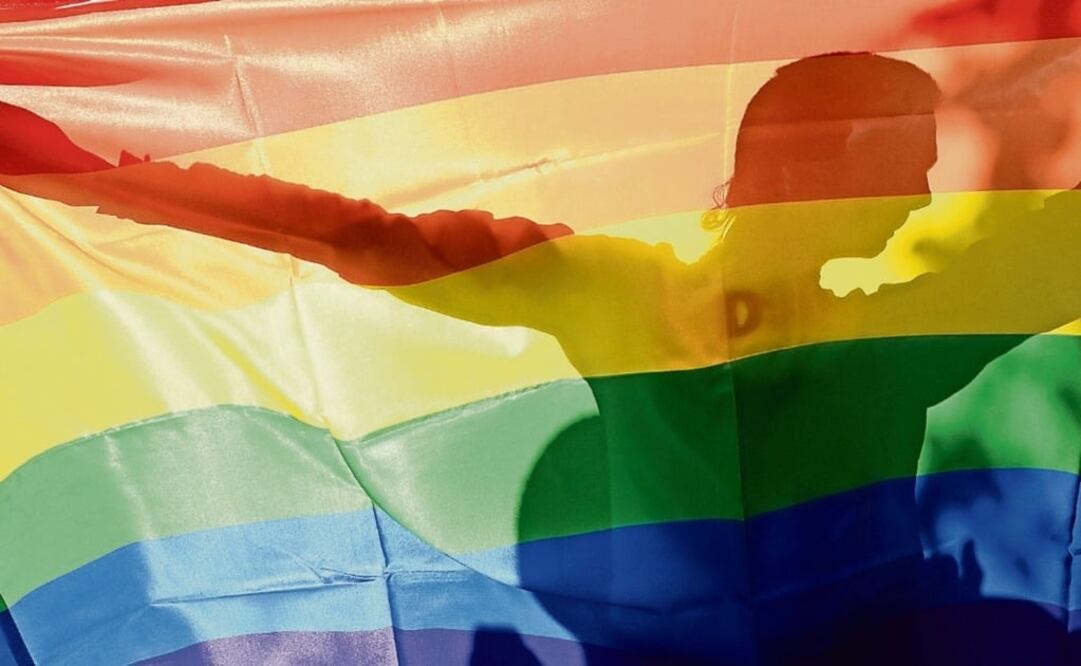 An activist's silhouette is seen through a rainbow flag during a Gay Parade – Photo: Sergei Supinsky/AFP