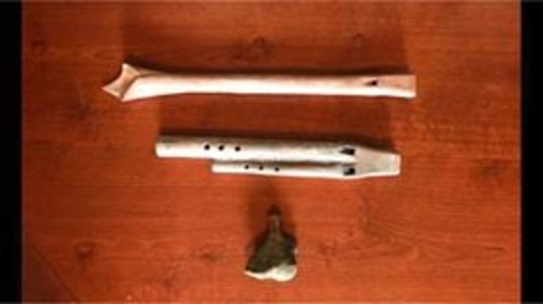 Fundación mexicana Tchaikovsky dona instrumentos a Moscú