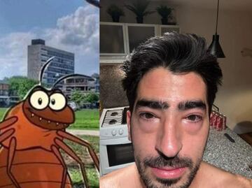 Estos son los mejores memes que circularon en Internet durante 2023