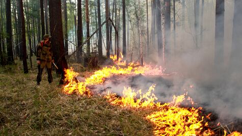 La oleada de calor que alimenta el fuego en el Ártico