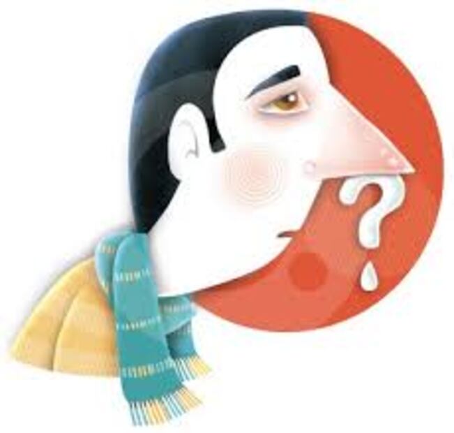 ¿Época de gripas y resfriados?