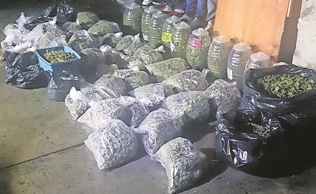Por venta de marihuana, 50% de los detenidos