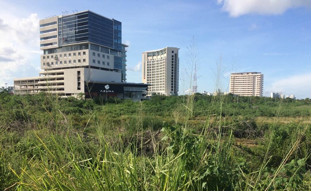 Foto: Archivo/ EL UNIVERSAL