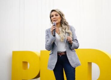 Auditarán todas las áreas del PRD en la CDMX