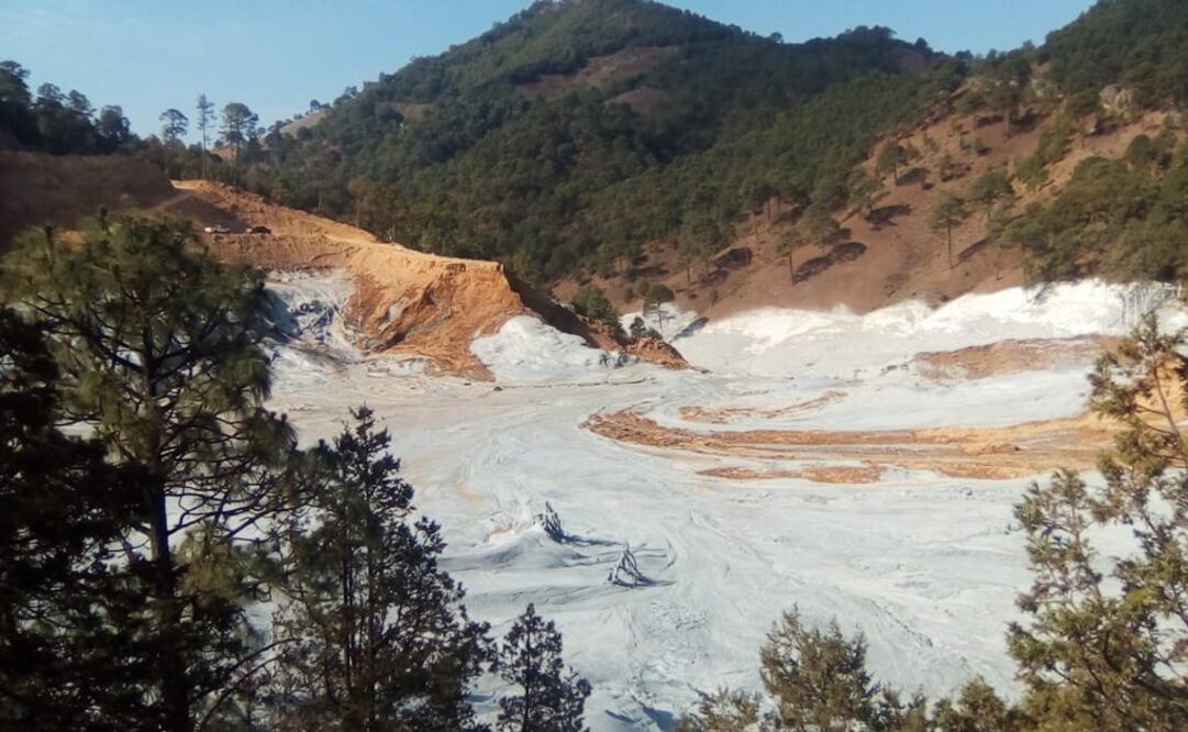 FOTO: Archivo. EL UNIVERSAL