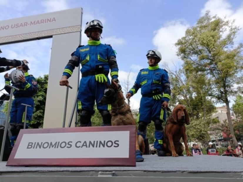 ¡Suave batallón! "Max" y perritos del Ejército desfilan en el Zócalo