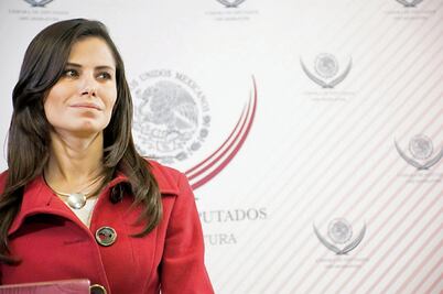 MC obliga a legislar en cuidado animal