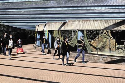 Lanzan convocatoria para crear logo por los 100 años del Zoológico de Chapultepec ¿Cuáles son los requisitos? 