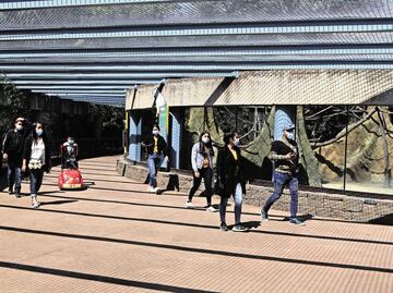 Lanzan convocatoria para crear logo por los 100 años del Zoológico de Chapultepec ¿Cuáles son los requisitos?