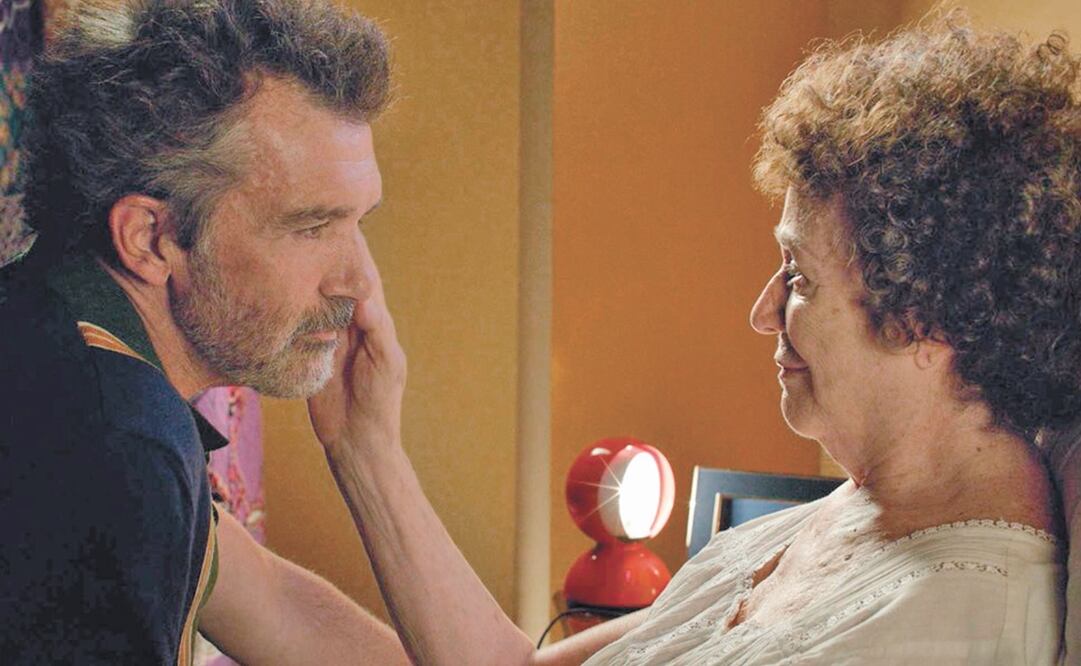 La producción española "Dolor y gloria", protagonizada por Antonio Banderas figuraba en siete nominaciones