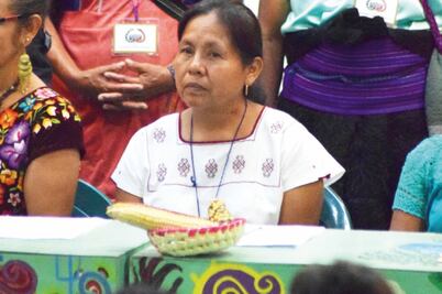 Piden 10 independientes captar firmas en papel