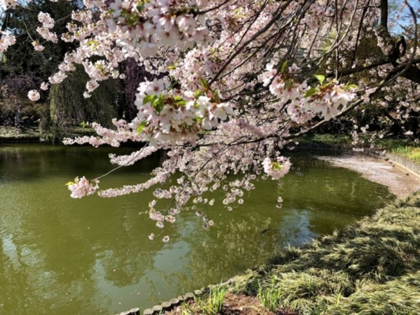 Lugares donde comer y pasear barato (y bien) en Nueva York