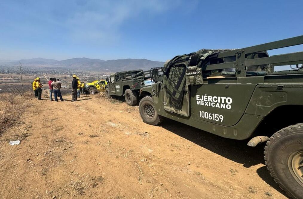Brigadas de Coesfo, Conafor y Ejército se suman a labores de combate de incendio en Tomaltepec, Oaxaca. Foto: Especial