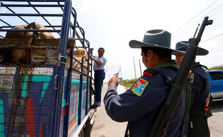 Guardias rurales realizan operativos en Oaxaca
