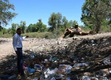 Investiga Profepa presunto ecocidio en Río Fuerte, en Sinaloa