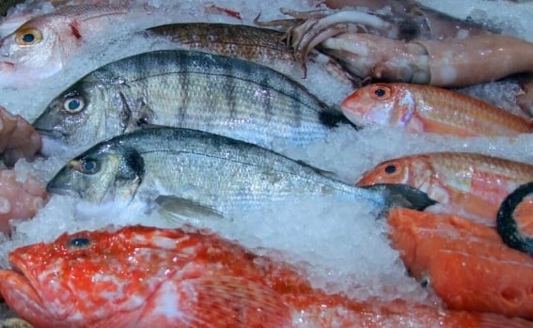 Oceana, organización internacional dedicada a la protección de los océanos, dio a conocer el estudio Gato X Liebre: el fraude del pescado congelado, en el que se encontró que en pescado y camarón hasta el 60% es agua congelada. Foto: Especial