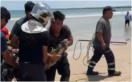 VIDEO: Capturan a cocodrilo en playa de Tamaulipas; desató el terror entre bañistas