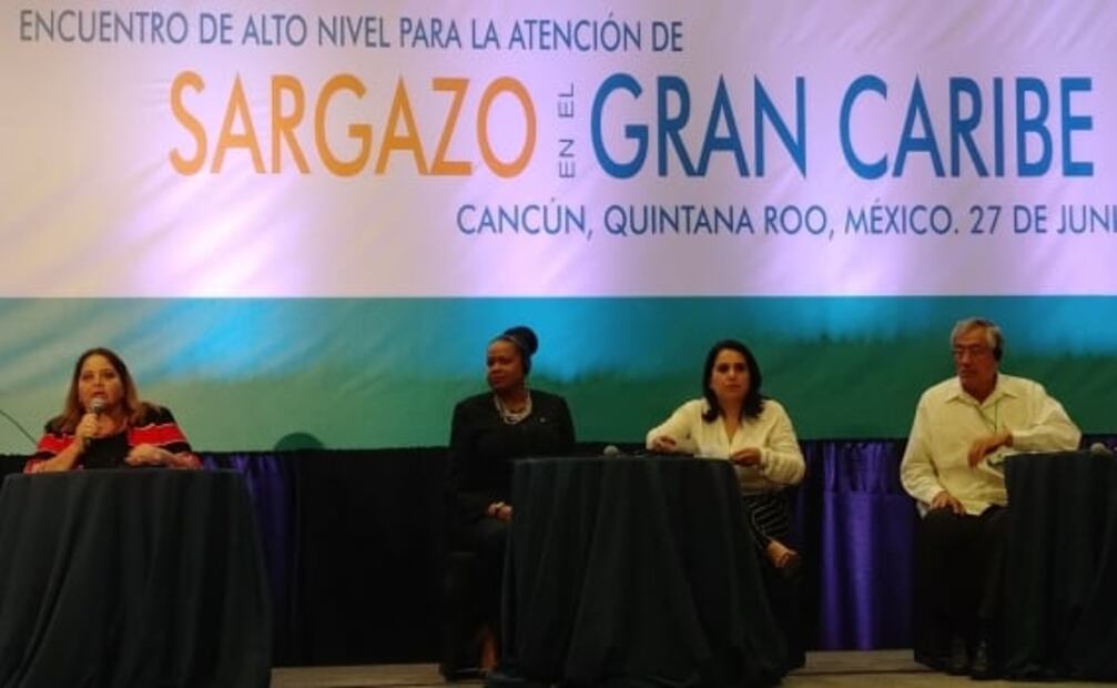 Sargazo es un problema global, concluyen en Encuentro de Alto Nivel en Cancún 