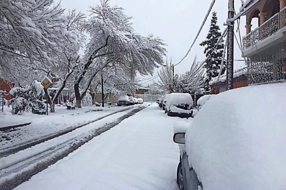 En Chihuahua casi la mitad del estado se cubrió de blanco la tarde del sábado y madrugada del domingo. El SMN prevé que continuarán las nevadas (CORTESÍA ROCÍO GALLEGOS)
