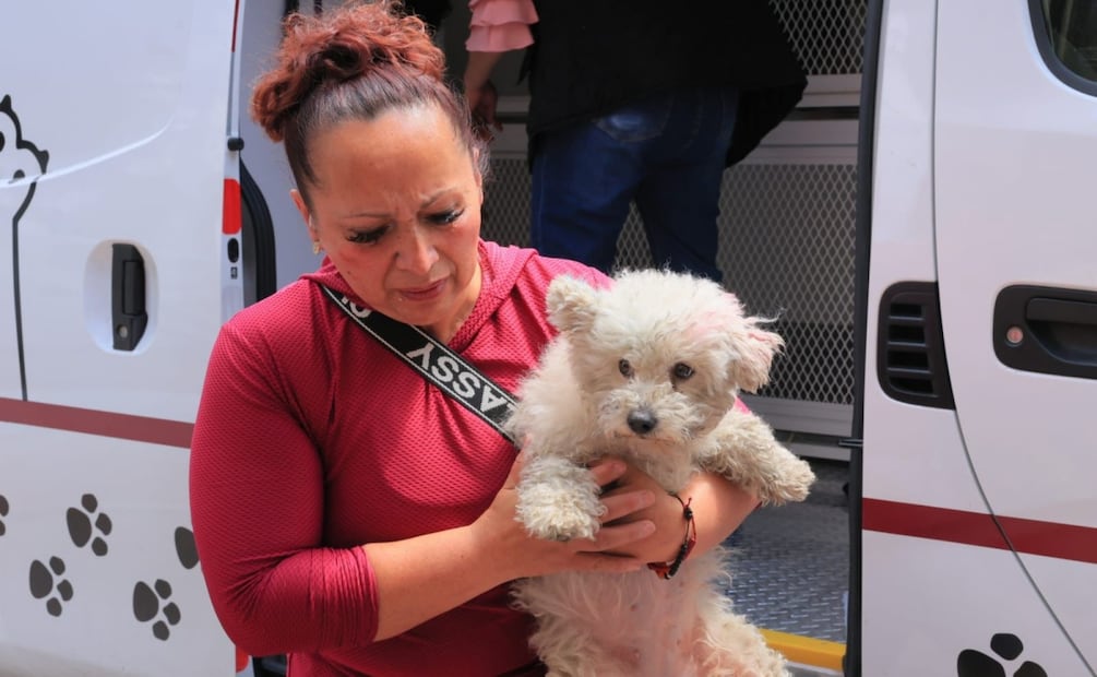 Aseguran presunta veterinaria en Ciudad Azteca; rescatan 25 animales y hallan restos de perros en maletas. Foto: Especial