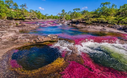 Caño Cristales, el río de colores que perteneció a las FARC