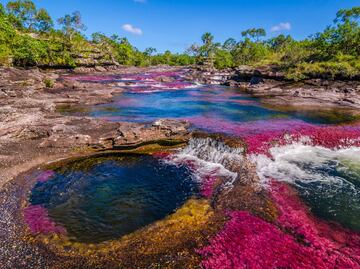 Caño Cristales, el río de colores que perteneció a las FARC