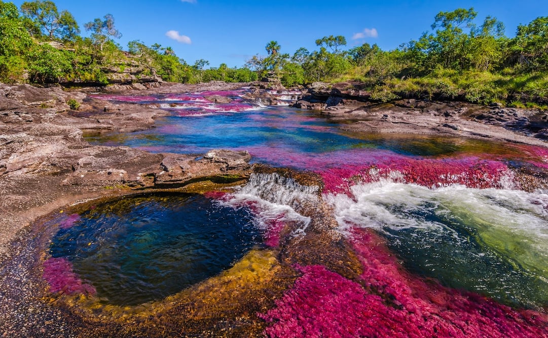 Caño Cristales abarca 100 kilómetros, aproximadamente, de largo. Foto: iStock 