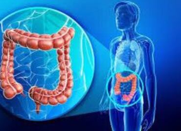 El alimento que ayuda a evitar el cáncer de colon; es rico en proteínas, fibra y minerales