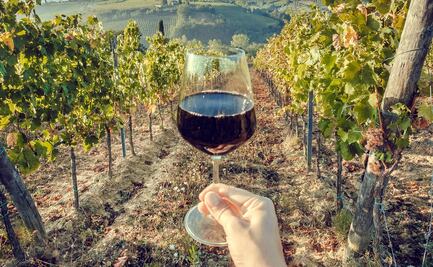 Anuncian la edición 2019 del México Selection by Concours Mondial de Bruxelles