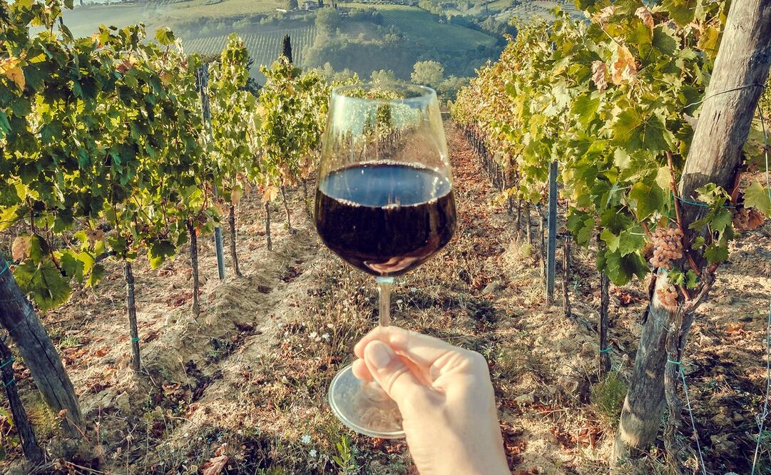 La tercera edición de México Selection by Concours Mondial de Bruxelles se llevará a cabo en Aguascalientes. Foto: Istockphoto