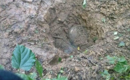 Juez federal avala entrega de datos sobre fosas clandestinas halladas en Veracruz